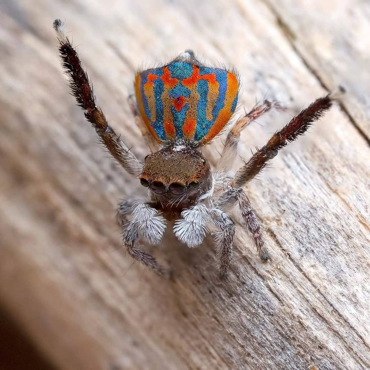 72e393554ea026917c42ba68d7