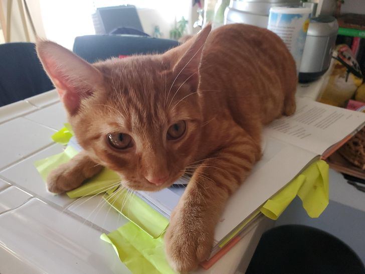 72e3d65dde8f647f598d70878c 72e3d65dde8f647f598d70878c