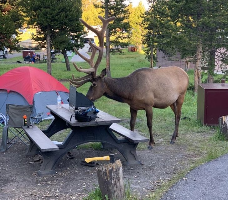 72e75a5befac09aa3810bd8cec