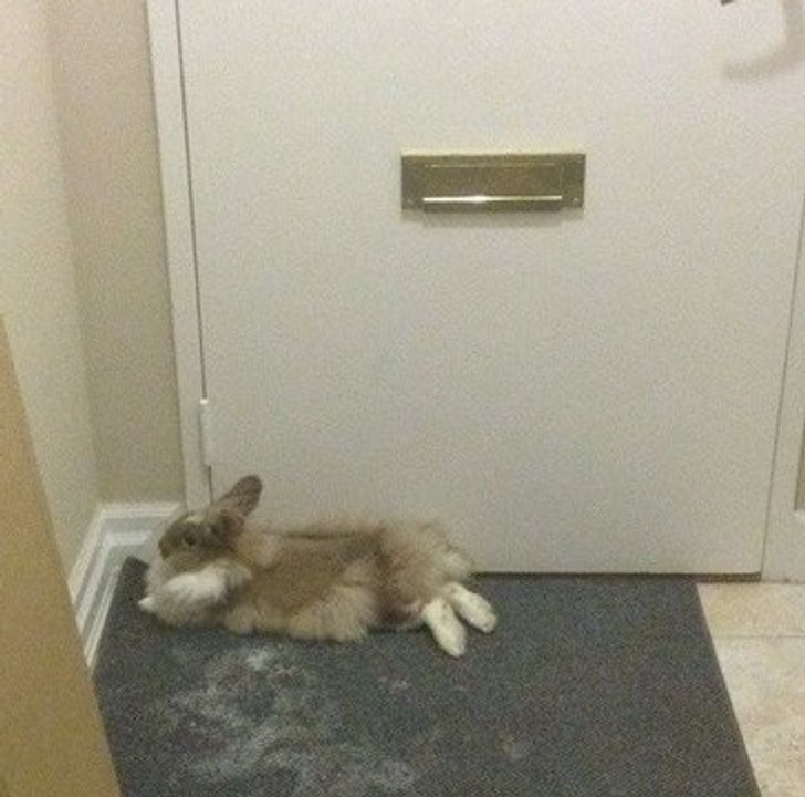 72ed2b5ac8a4b374703d4b3670