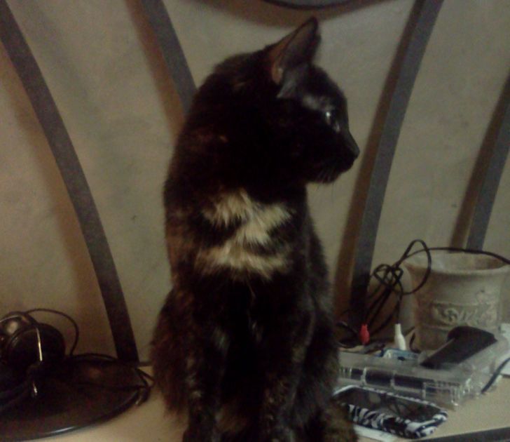 72f8be5b04b6fa8d8c45d99d13