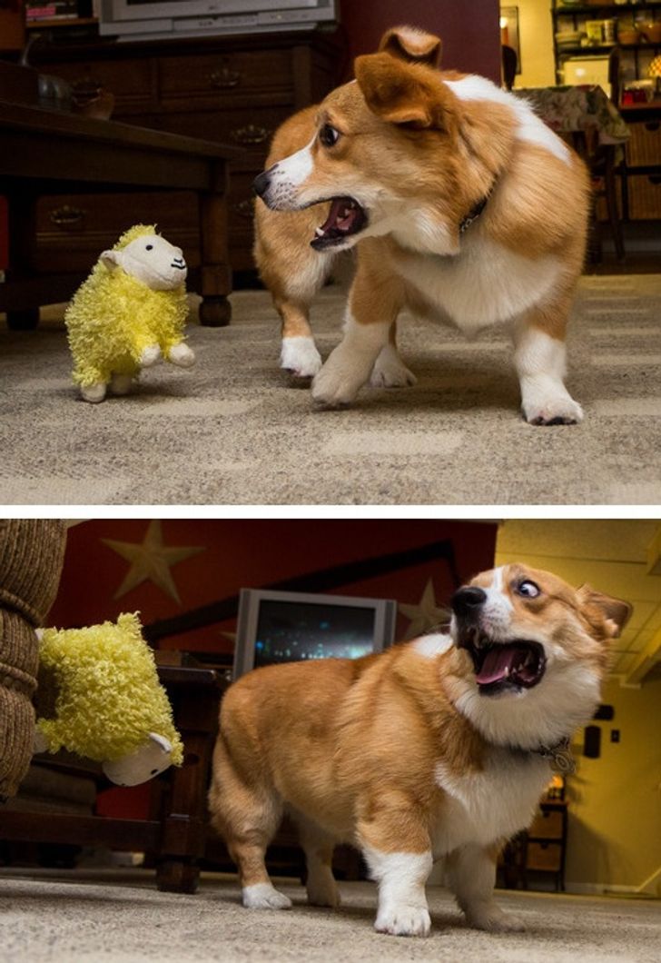 7303fe5fada462f4266d4255a1