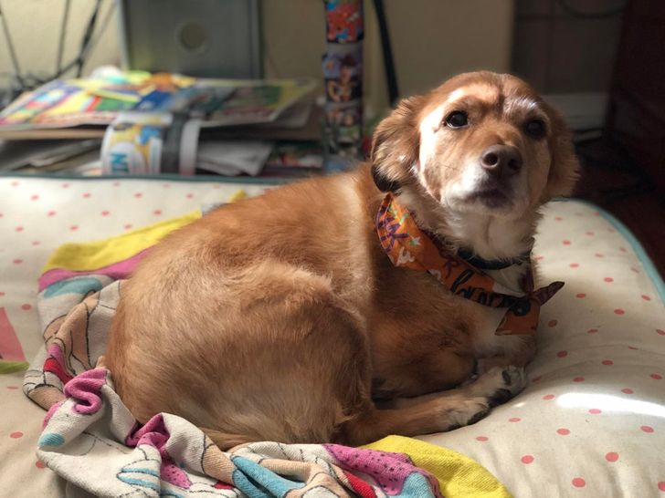 7309af570597d6f5fe21c62623