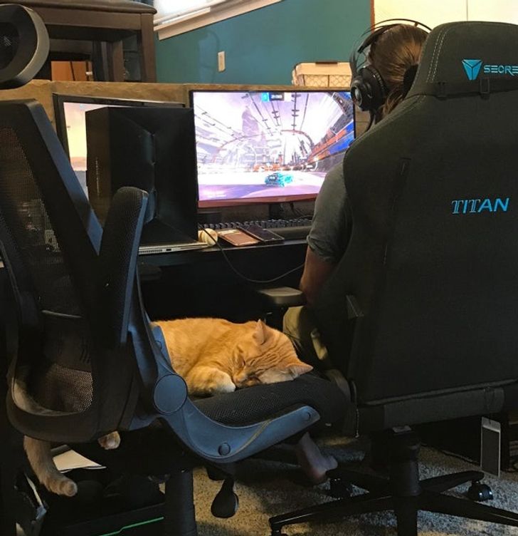 7312ac5b4a9e604ed0b37cdc58