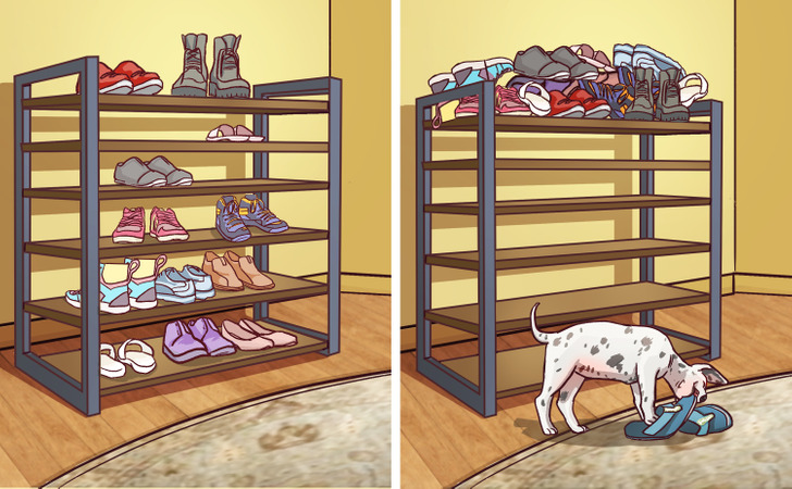 731eed596ca45a8b1b10c45212