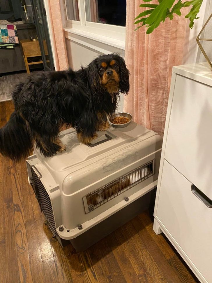 73202e5a03b1c0399142b7dde5