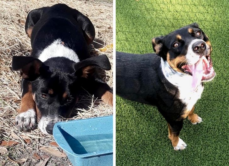 732a365af19941276d595971b0