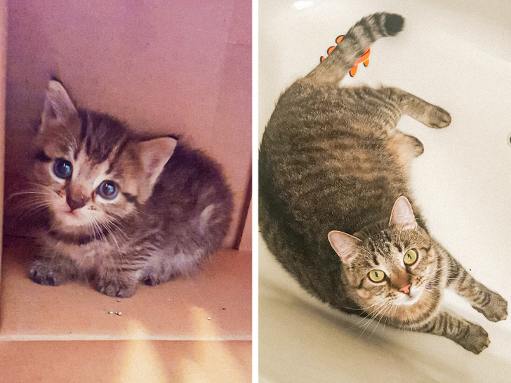 7336bb5cd79146ad85f4251dae 7336bb5cd79146ad85f4251dae