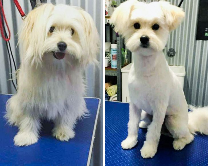 7338f753f388b8e69f89e8a45e