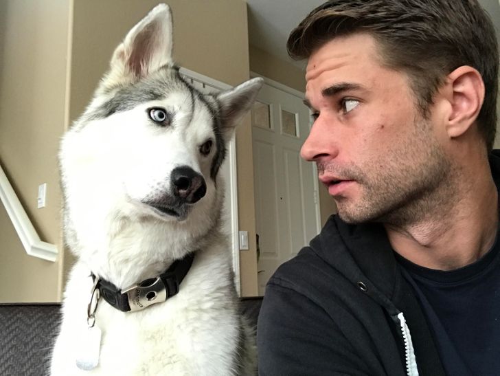 733c84547183e6b4433ef9be70