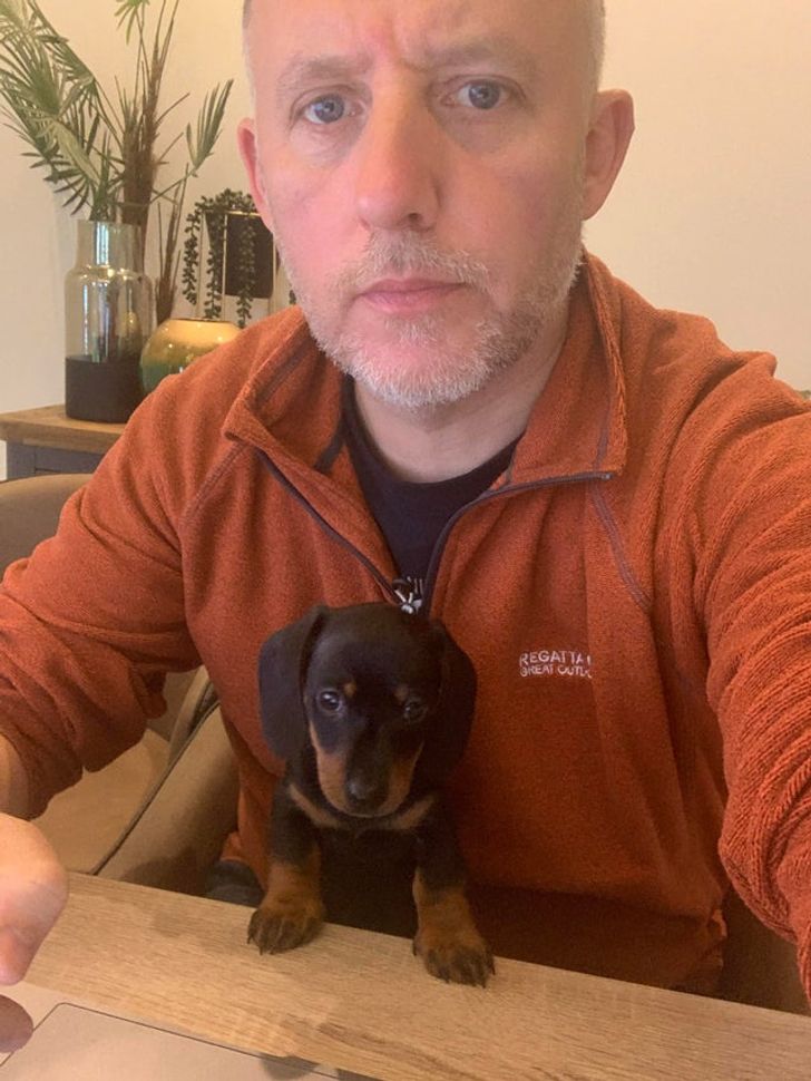 734459566f86d527c834c3273a