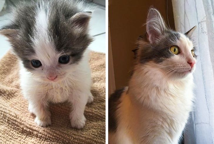 73455a5ec58decfb0474649cd6