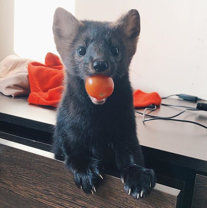 7346c45563a74635c499019847