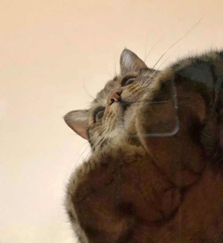 7346c95fafa0b023d5eae47c1e