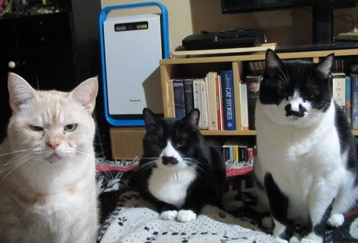 734fdf53ab80da282b76635b08