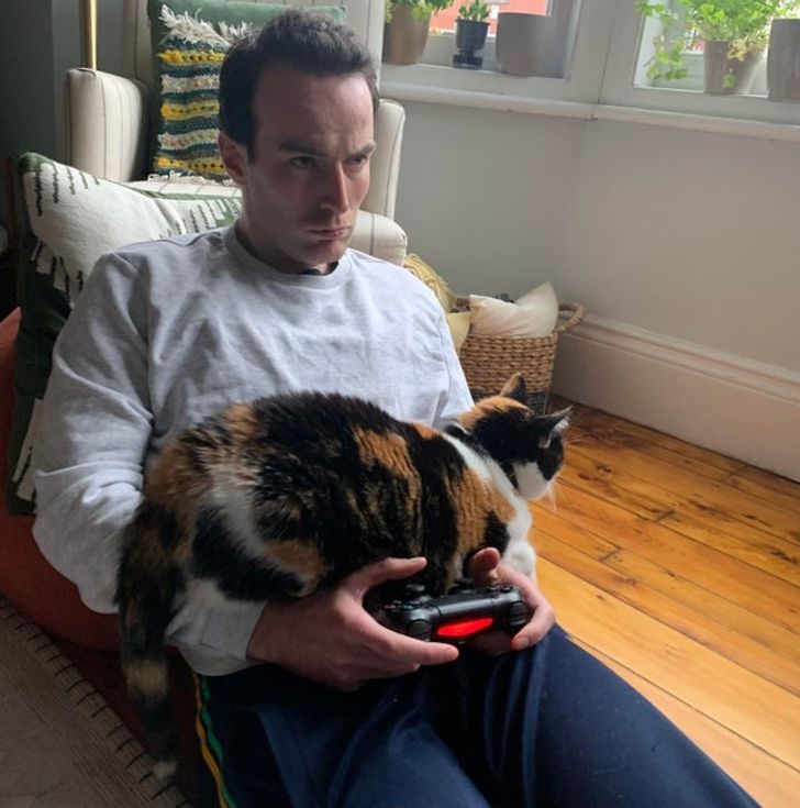 73523b5b69b81e0bbcf69f41dd