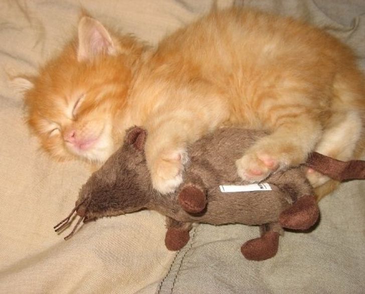 7357b755f692a0f00760f4f064