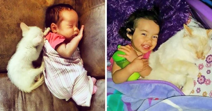 7358205a5abbdbd3f5228fb68b