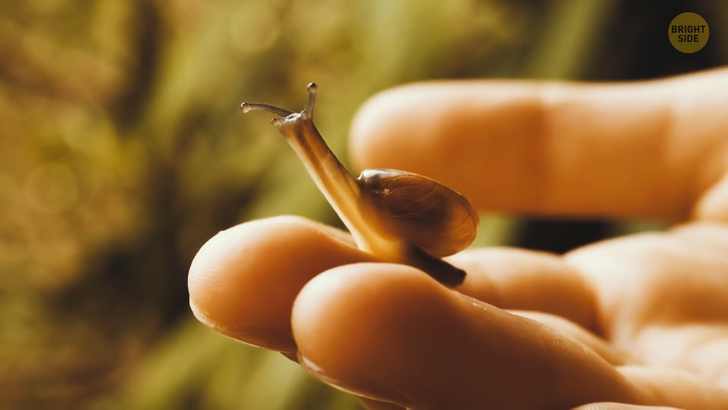 735d685ca8bda48a0cd99a170b