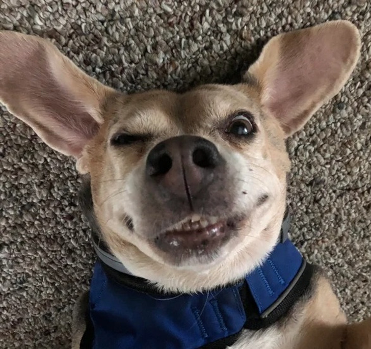 73616652b6af91c43ec0bcf475