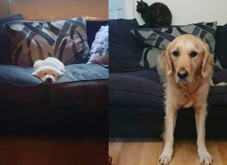 73618d52b4bc70fa38aa24a924