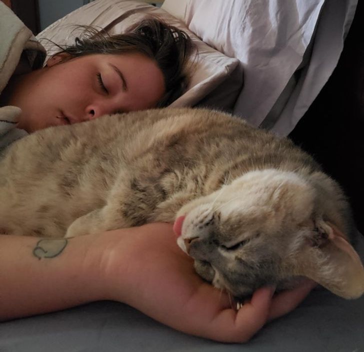 7362965560a39e8b48392961df