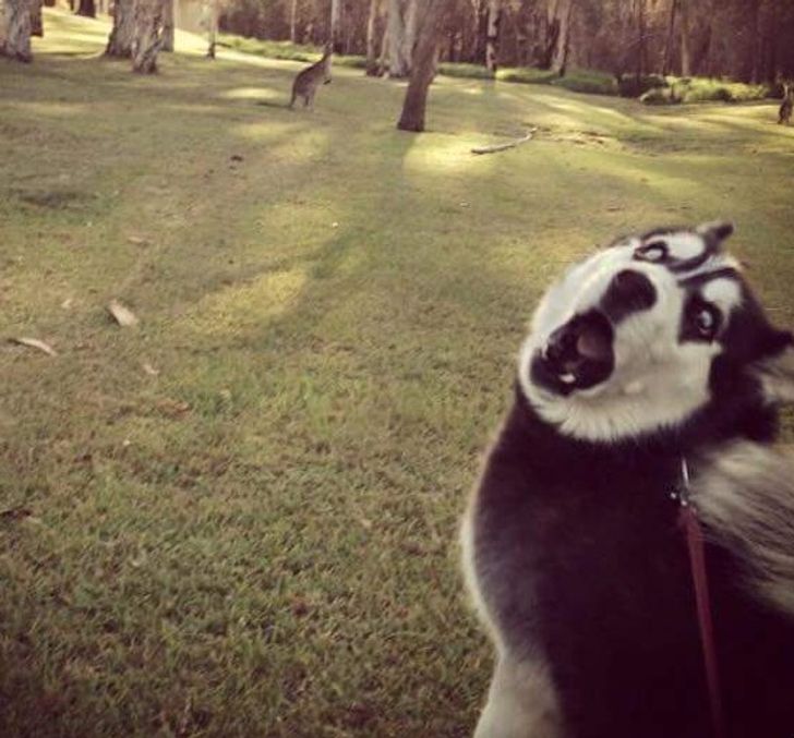 73634f5d39b211ed5ed9029212