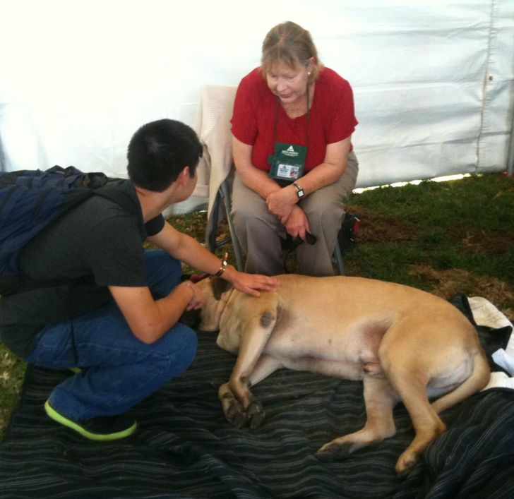 736aa55ac2ae805b034b9bb0fa