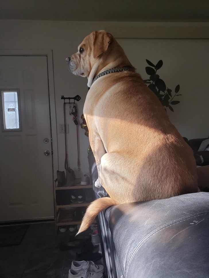 73753e570ca5890ad8b2fab6e9 73753e570ca5890ad8b2fab6e9