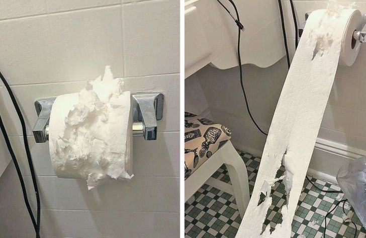 73824b5a4191eaf8b36322088a