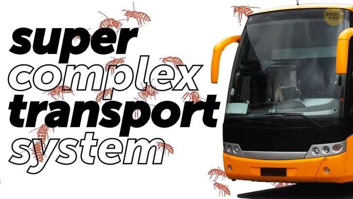 7387b956e599711f04769844cf