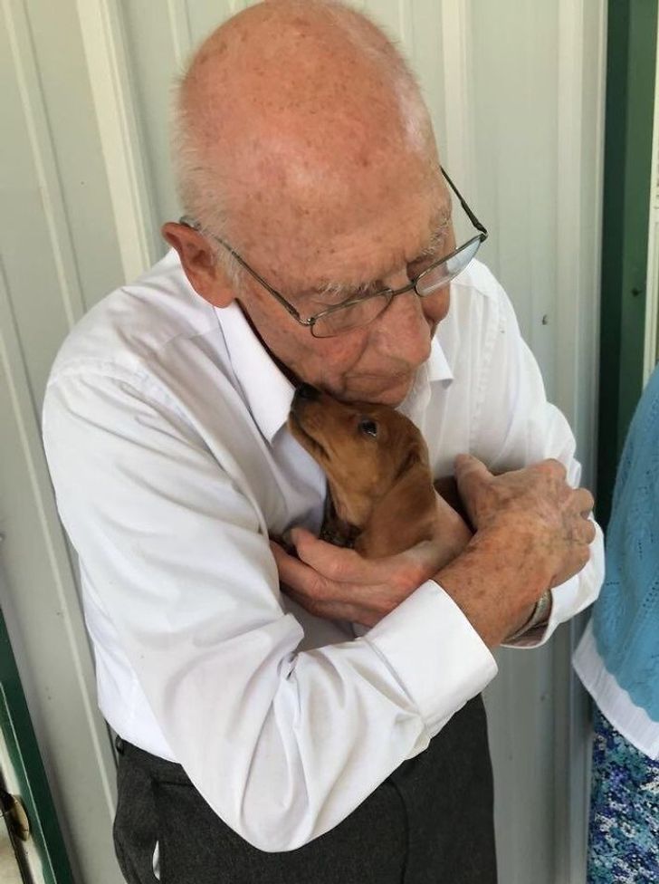 73889155b6a94ed3e91dc28f0a