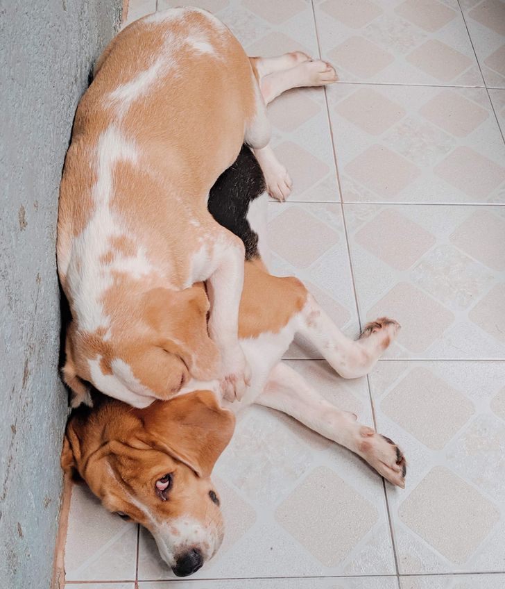 7394035f008ccb6a9c94767bbd 7394035f008ccb6a9c94767bbd