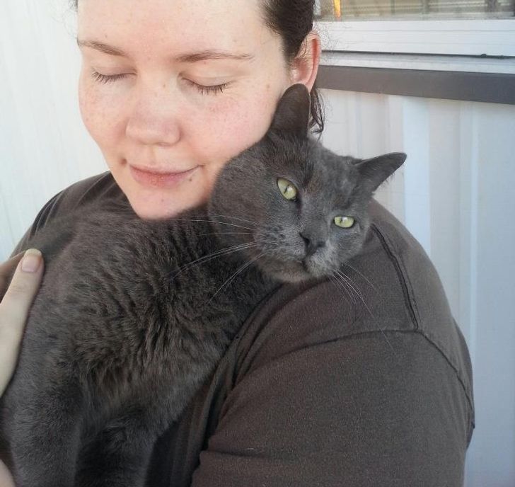 739cc551bba8a2e317de479e65