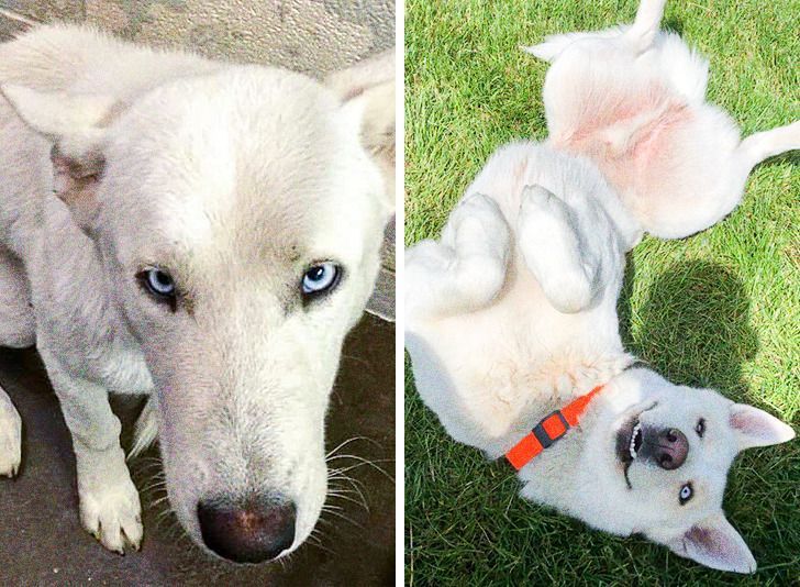 739faa51b083ea79e2639185f3