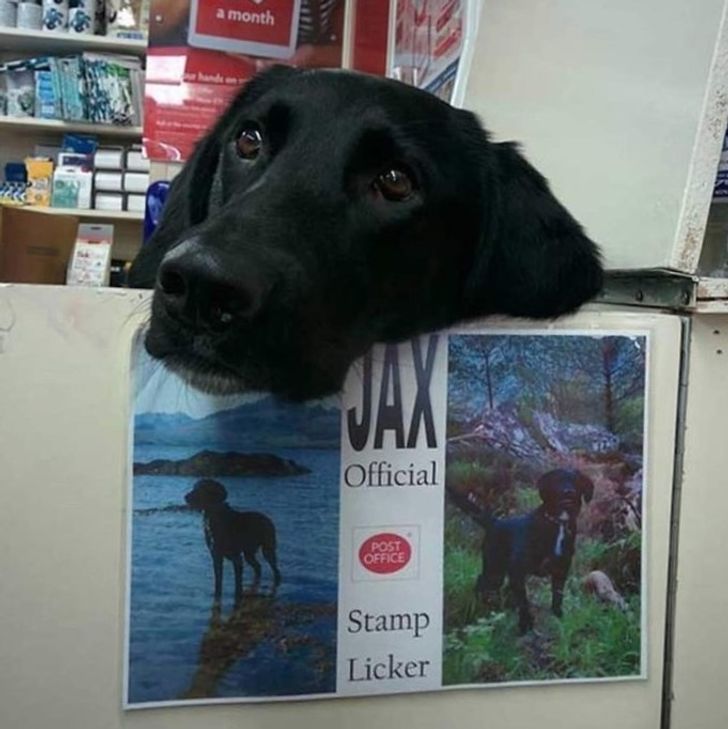 73a4e65f8089529dd9d51b9fe0