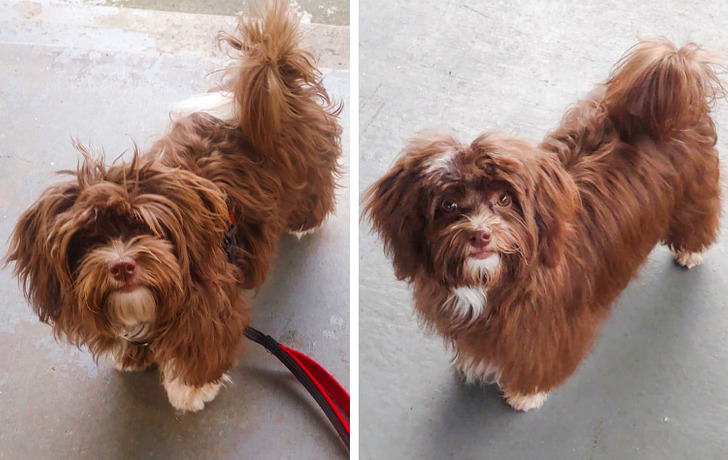 73aa975463978c0319493359b6