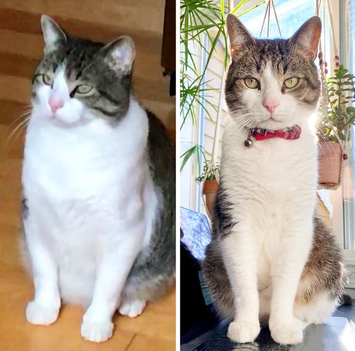 73b4df5ee88a64d99d8d68f361