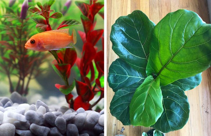 73b837598caa22169cb43ff62e