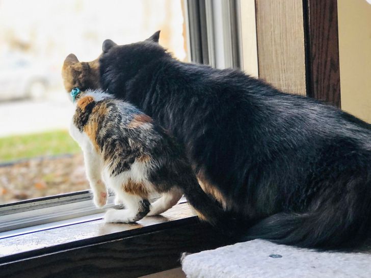 73c07f5eebab75095ee9661c4f 73c07f5eebab75095ee9661c4f