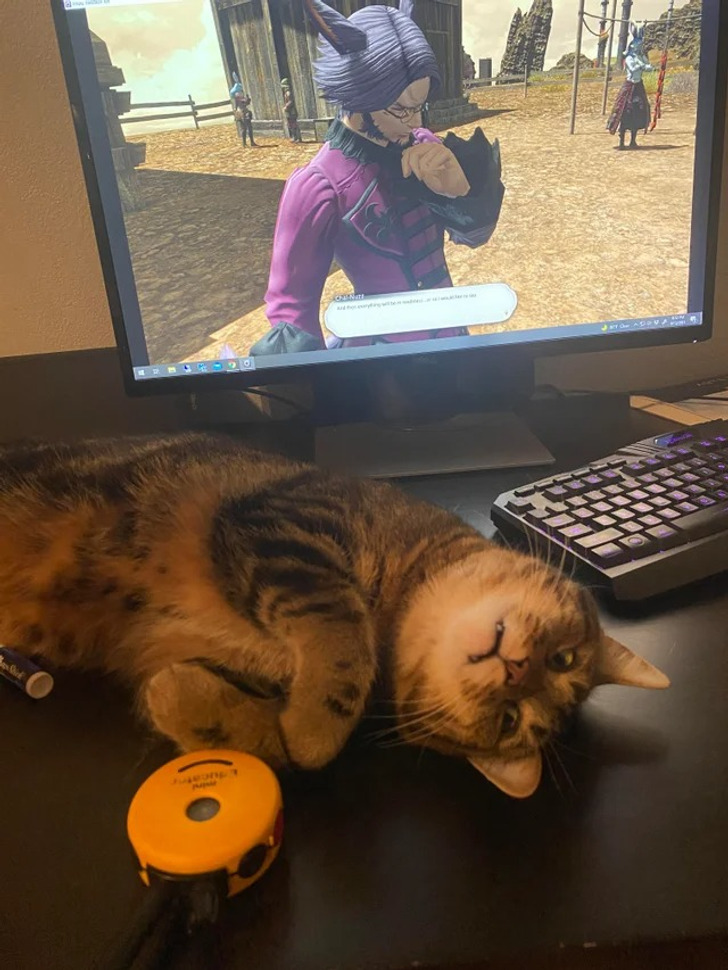 73c4195c47934f5c26c22c0bc0