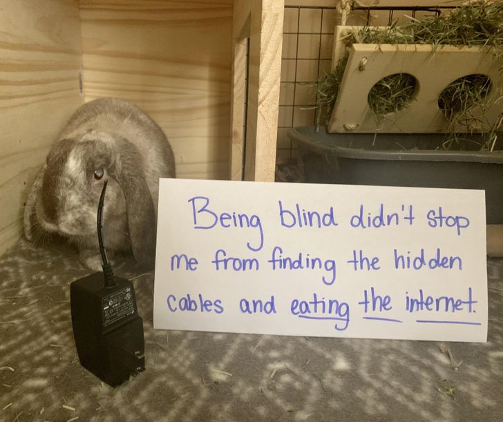 73c52755cda36f0f01c6500843