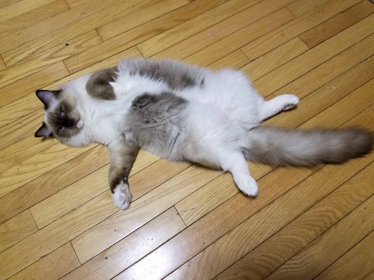 73d2295957a5635a959c24c3a4