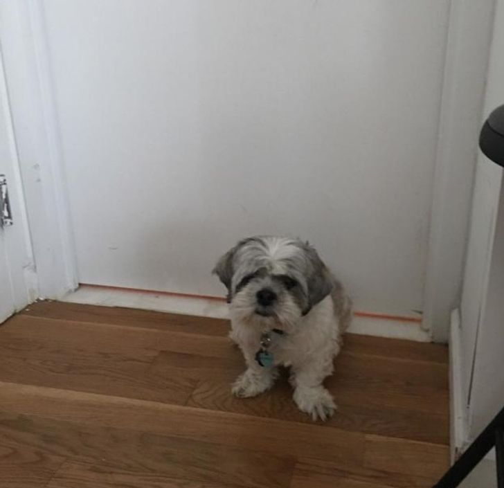 73d2ee5de286efeaf490f2e502