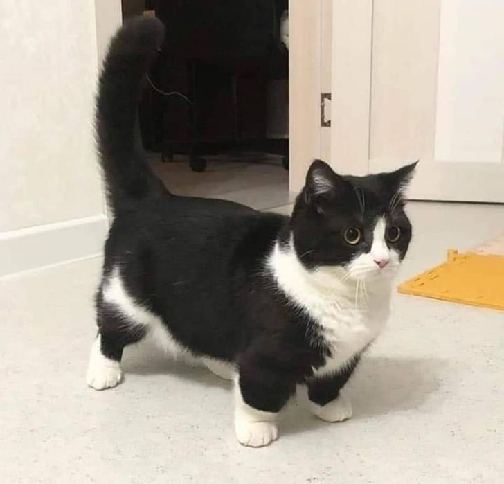 73d8f55a8982166e0833de1d49