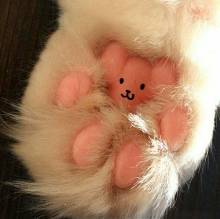 73e8a25c688c79833147da3e29