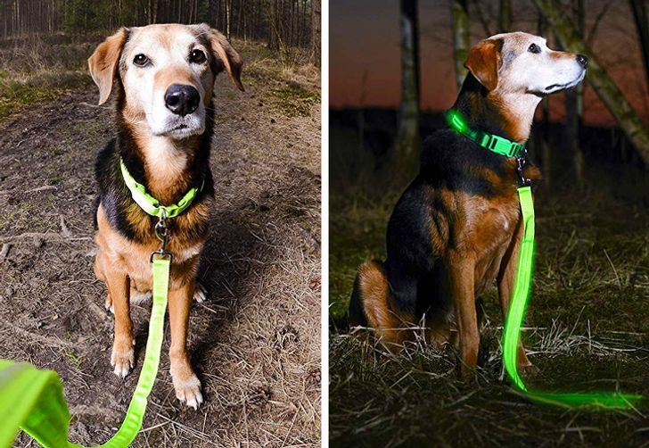 73fba253dfbf8c787193f9fbc8