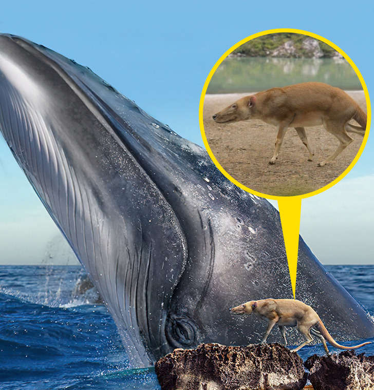 73fcbd51749add37d02076808f