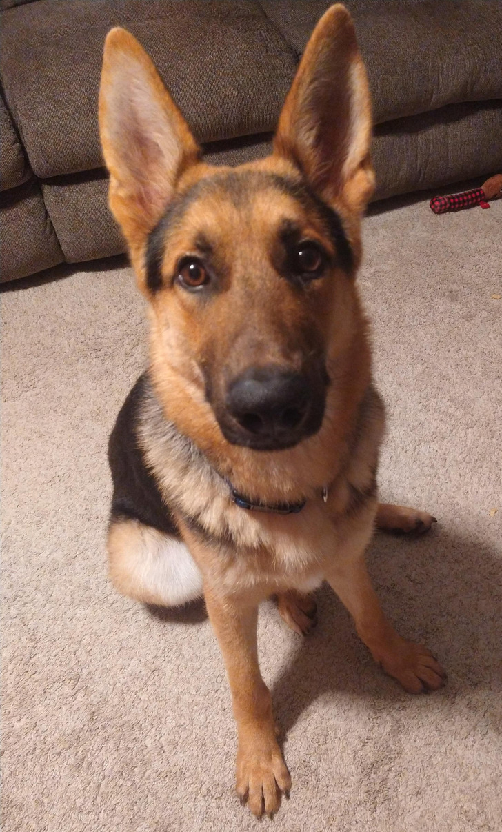 73fce752bb8bcebcf2037a5bfa