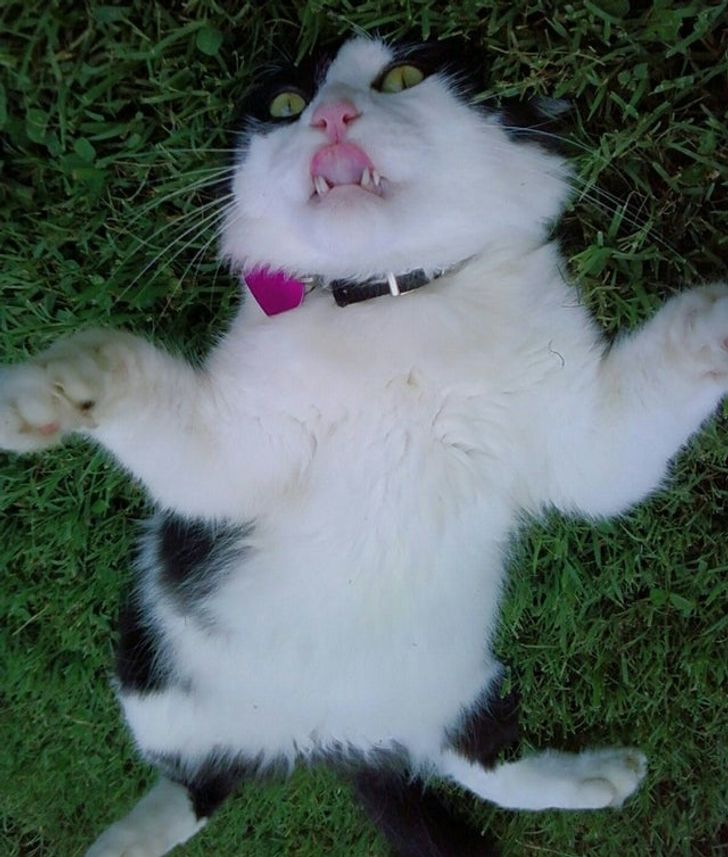 7401c75e23af567b0409c6ae65